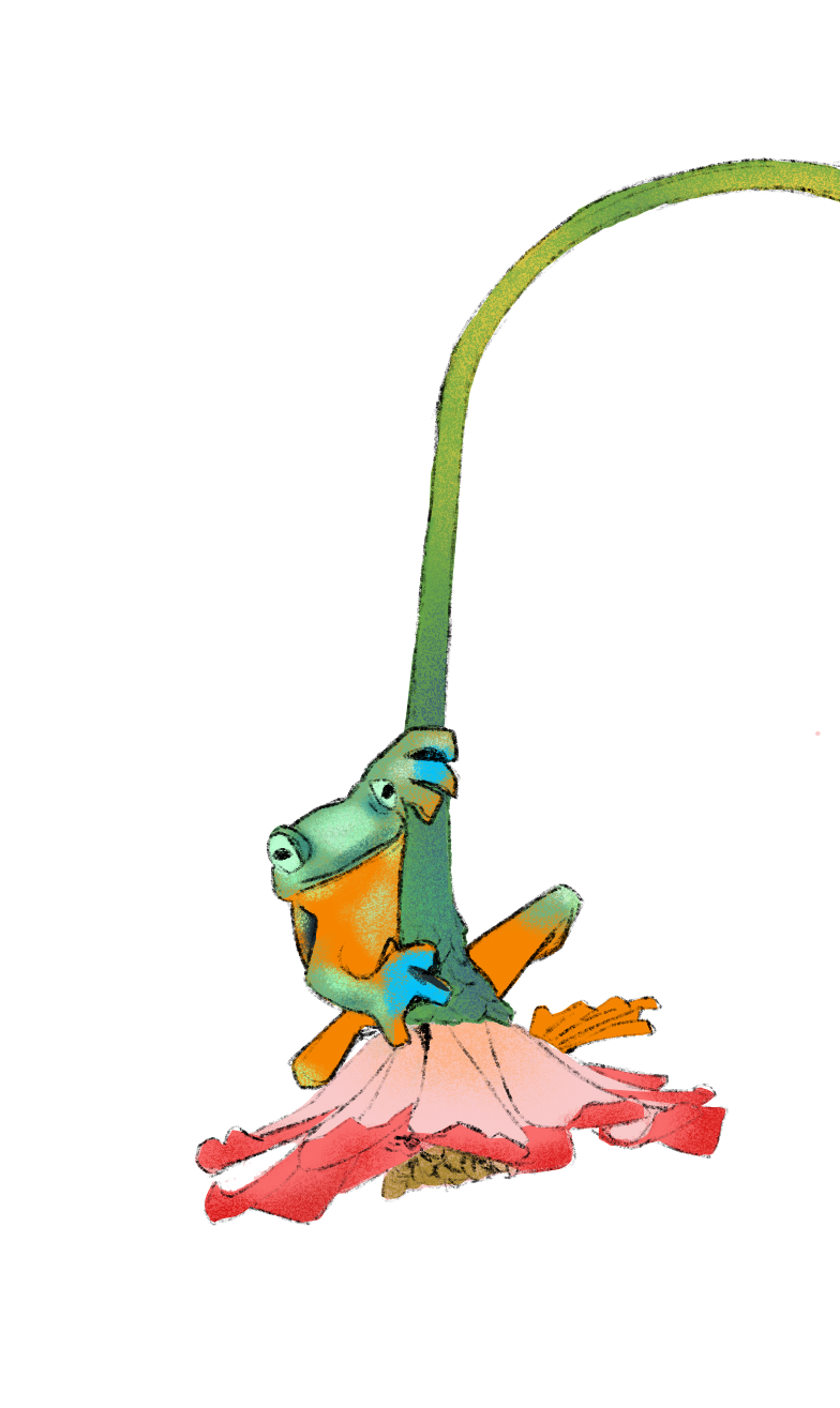 Frog on a flower
