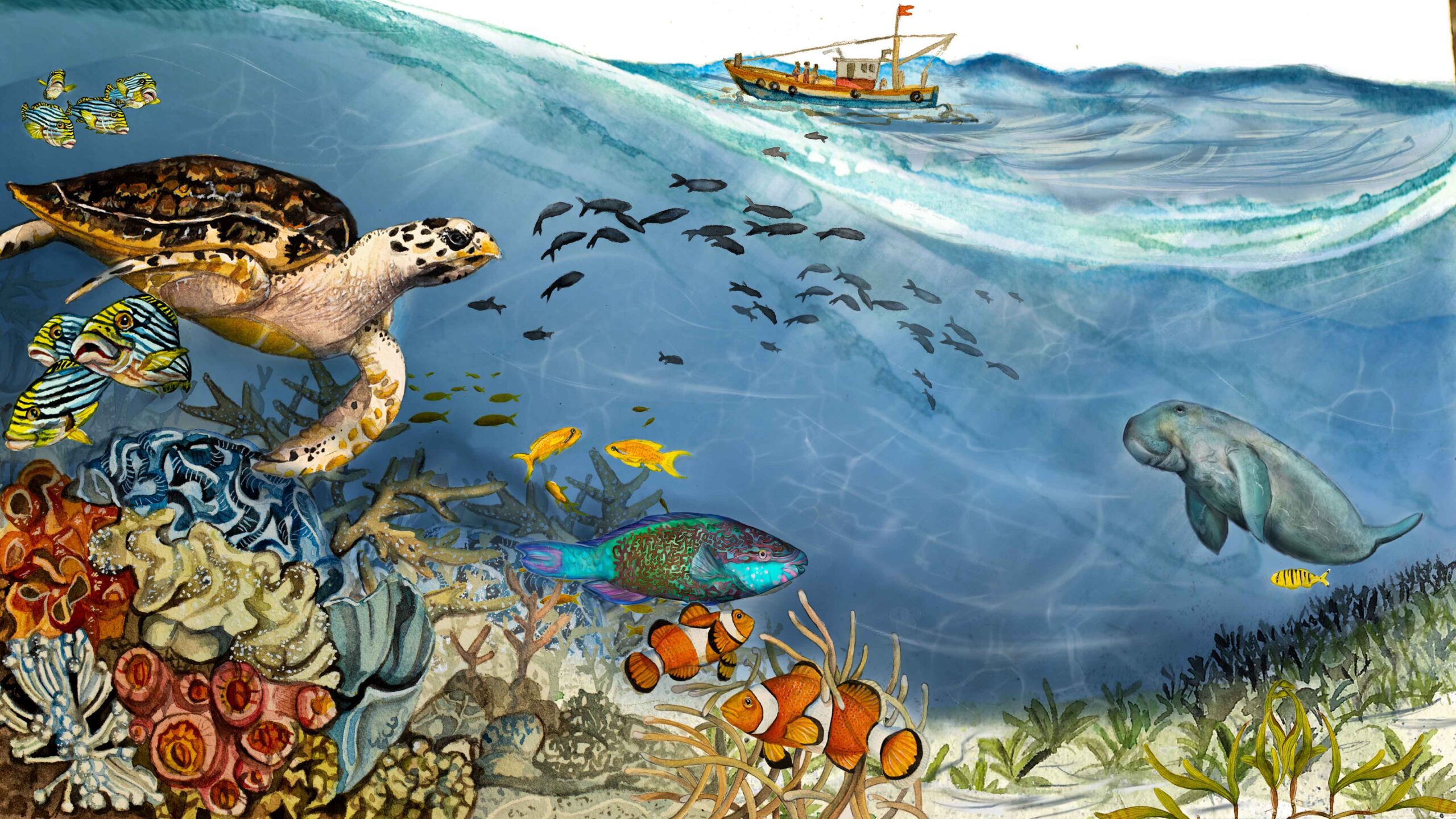 Marine banner showing a tropical sea, with an olive ridley turtle, corals, clown fish, parrot fish, dugong, seagrass, and a fishing boat.